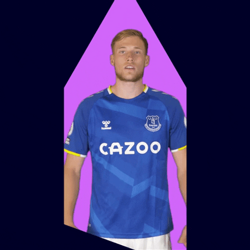 Everton Fc Van De Beek GIF