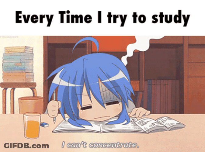 Every Time I Try To Study Meme GIF