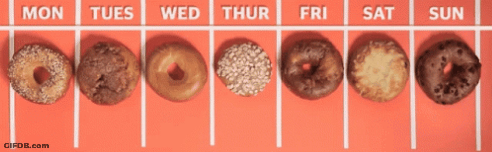 Everyday Is Bagel Day GIF