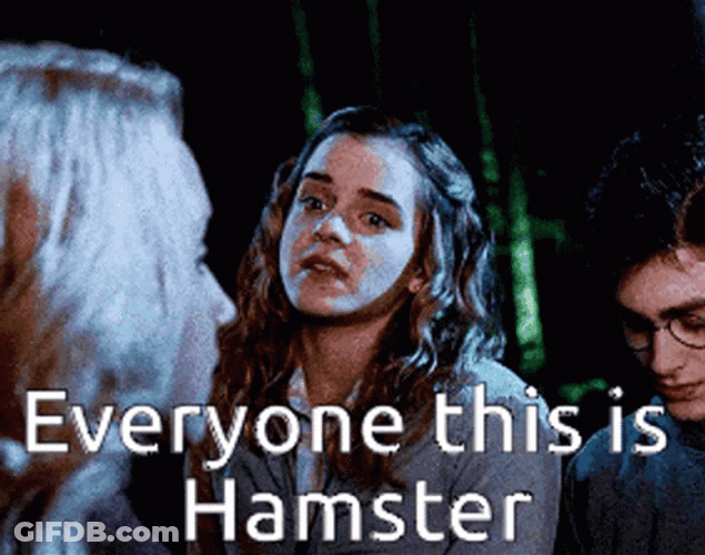Everyone This Is Funny Harry Potter GIF
