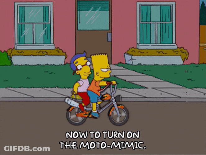 Everything Coming Up Milhouse And Bart Riding Bicycle GIF