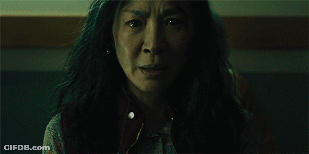 Everything Everywhere All At Once Michelle Yeoh Kung Fu Fight GIF