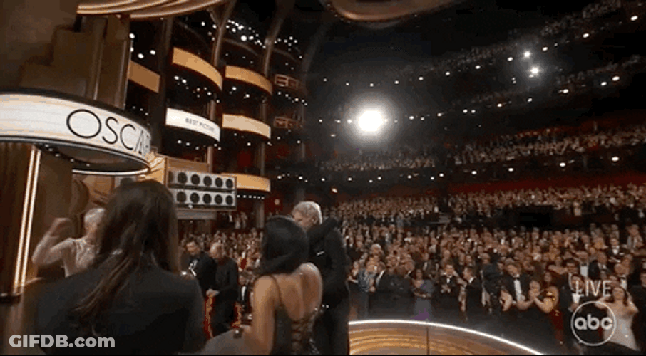Everything Everywhere All At Once The Oscars Academy Awards GIF