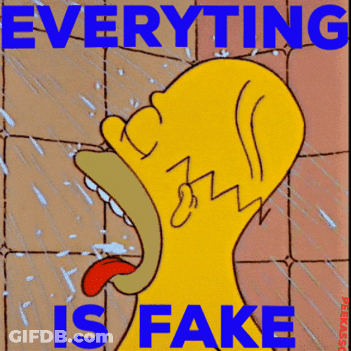 Everything Is Fake Homer Meme GIF