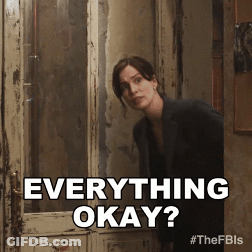 Everything Okay Jamie Kellett The FBI GIF
