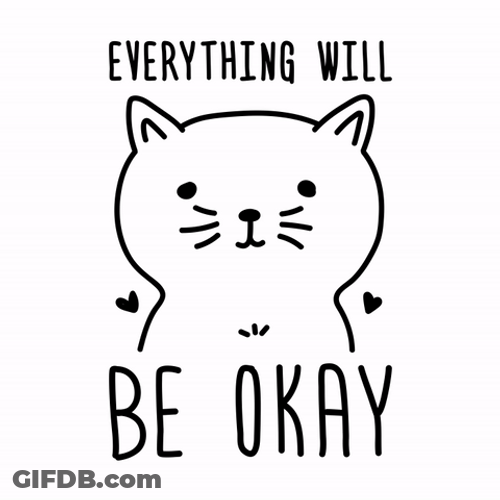 Everything Will Be Okay Cat GIF
