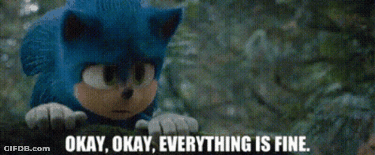 Everythings Fine Sonic The Hedgehog GIF
