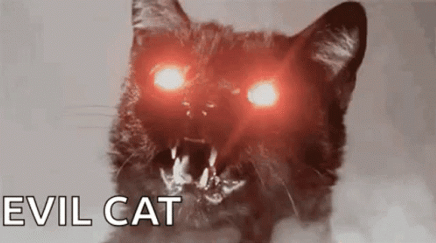 Evil Eye Glow Angry Cat GIF