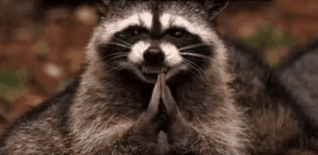 Evil Plan Evil Smile GIF