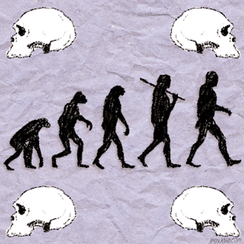 Evolution Of Neanderthals To Humans GIF