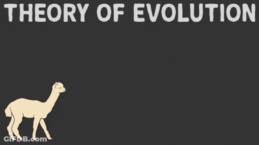 Evolution Of The Two Legged Alpaca GIF