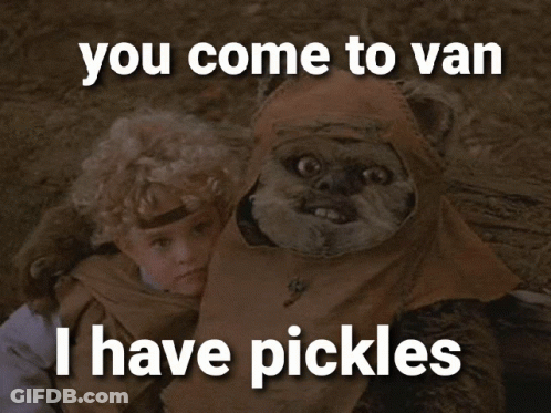 Ewok And Little Girl You Come To Van I Have Pickles GIF