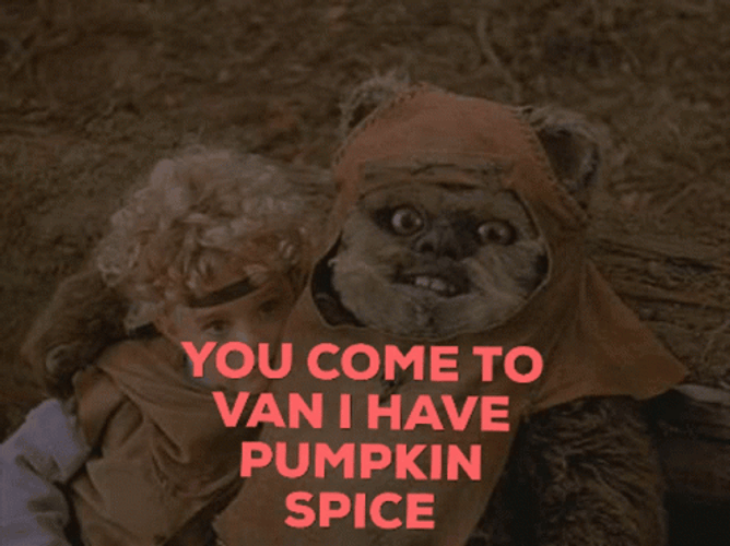 Ewok I Have Pumpkin Spice GIF