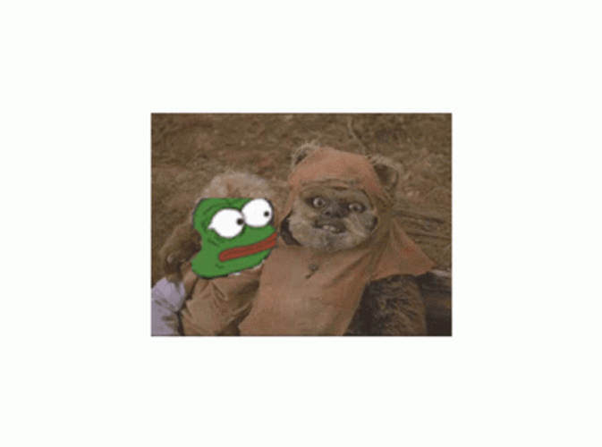 Ewok In Giving Empathy GIF
