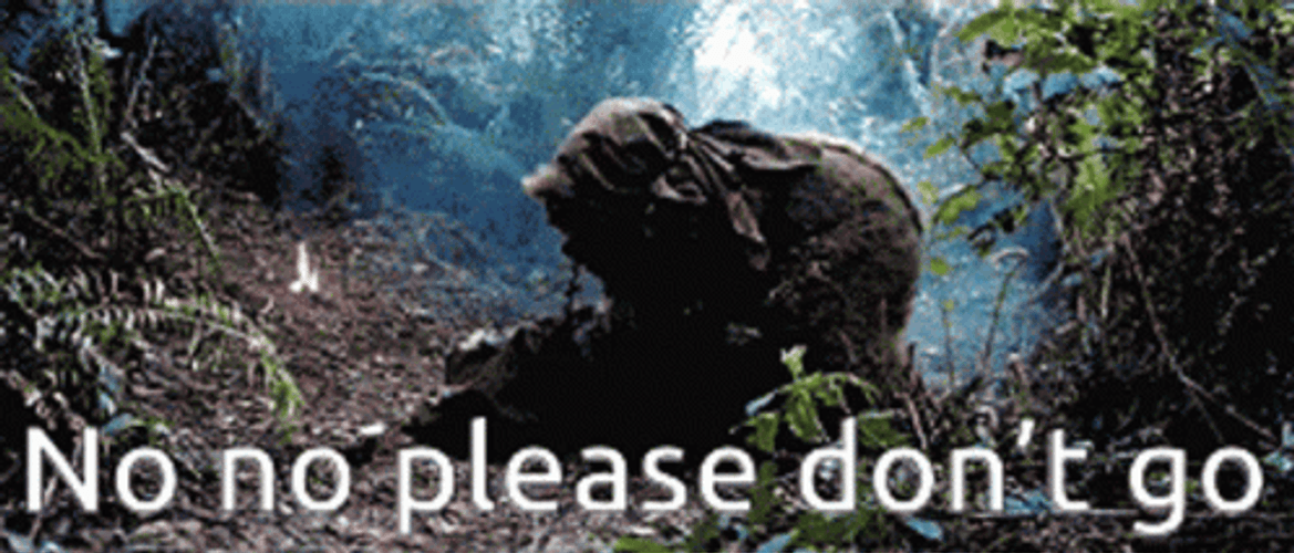 Ewok No Please Don't Go GIF