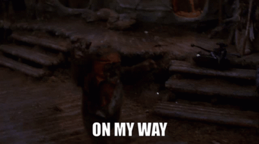 Ewok On My Way GIF