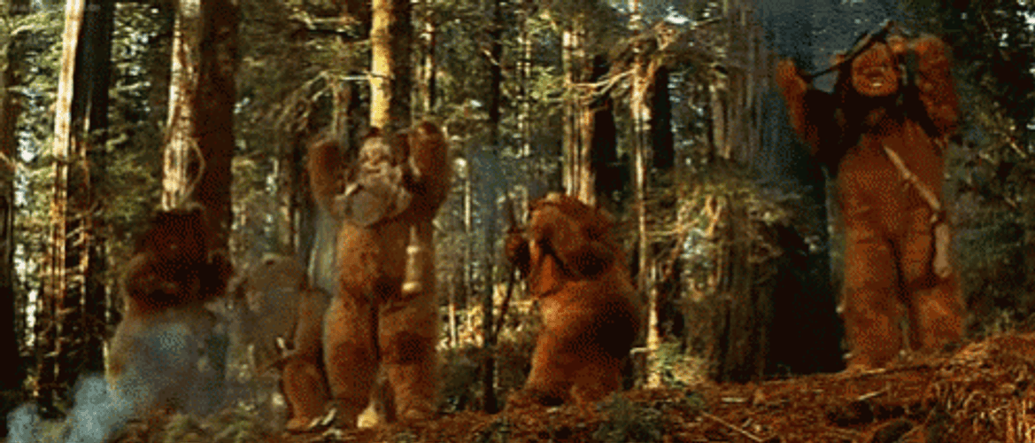 Ewok On The Woods Celebrating GIF