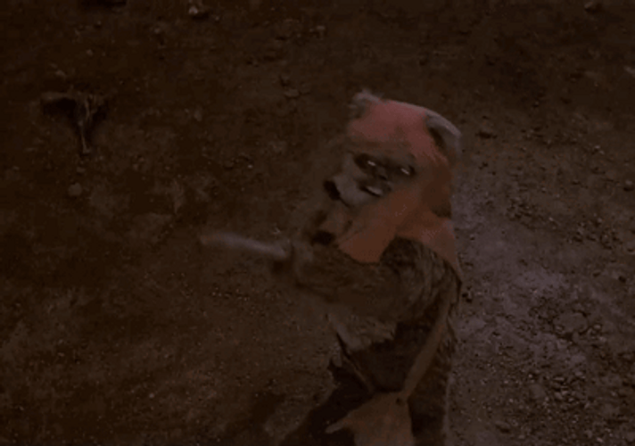 Ewok Trying To Fight GIF