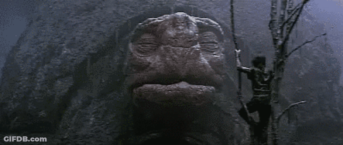 Exaggerated Turtle Sneeze GIF