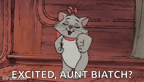 Excited Aunt Biatch Cartoon Cat GIF