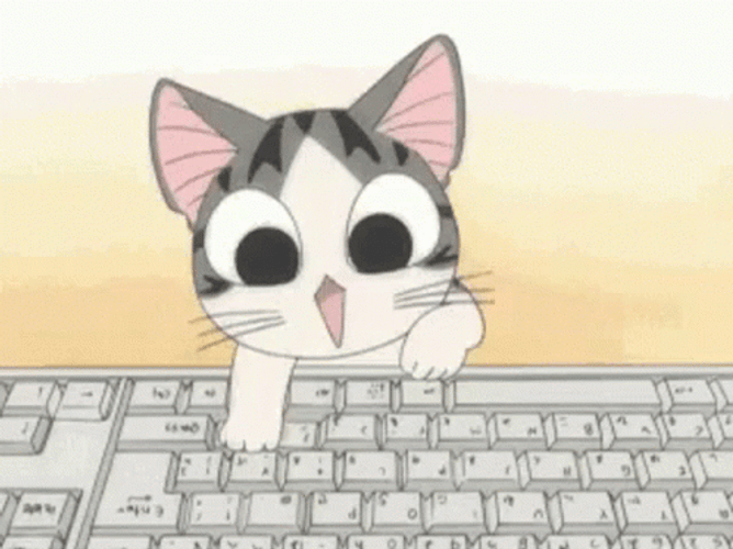 Excited Cat Typing On Keyboard GIF