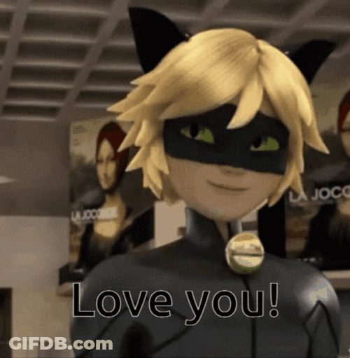 Excited Chat Noir Love You GIF
