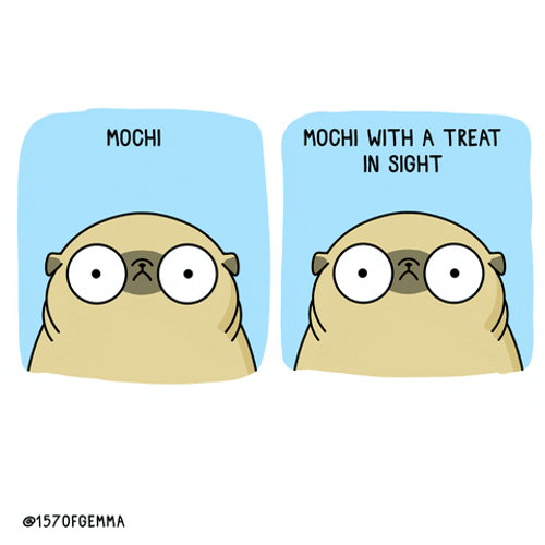 Excited Dog Mochi Treat GIF