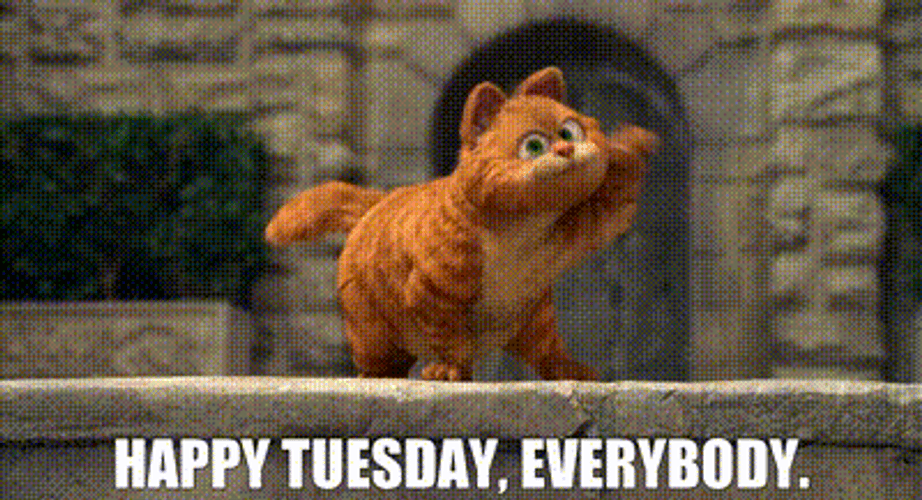 Excited Garfield Funny Tuesday GIF