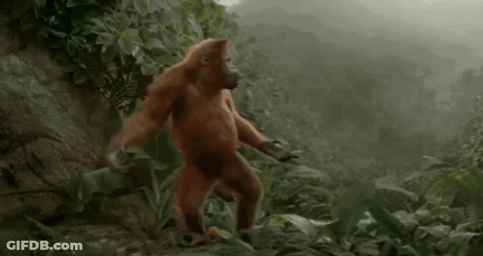Excited Gorilla Monkey Dance GIF