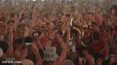 Excited Meute GIF