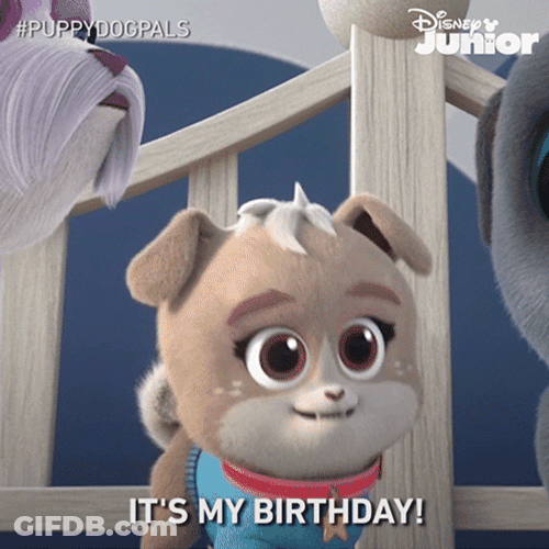 Excited Puppy It's My Birthday GIF