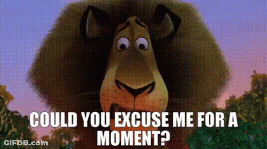Excuse Me Alex The Lion GIF