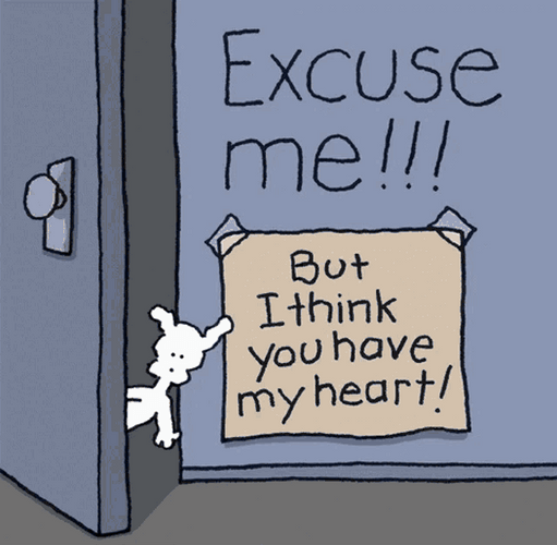 Excuse Me Chippy Dog GIF