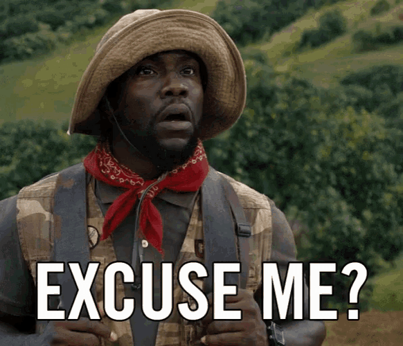 Excuse Me Kevin Hart GIF