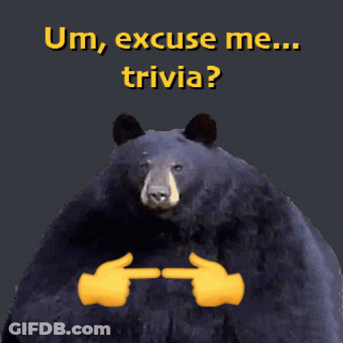 Excuse Me Trivia GIF