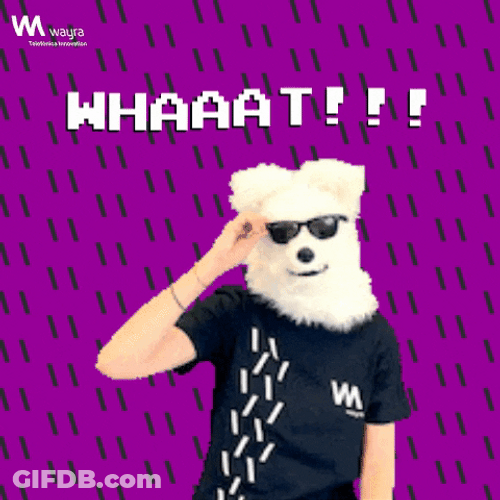 Excuse Me Whaaat Wolf Head GIF