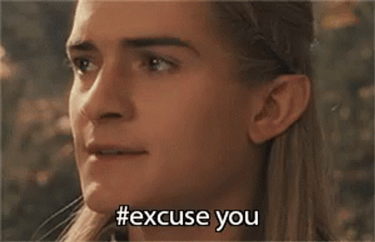 Excuse You Legolas GIF