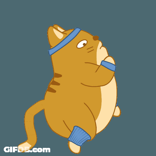 Exercise Jog Teodor Cat GIF