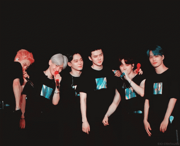 EXO Exploration Concert Love Pose GIF