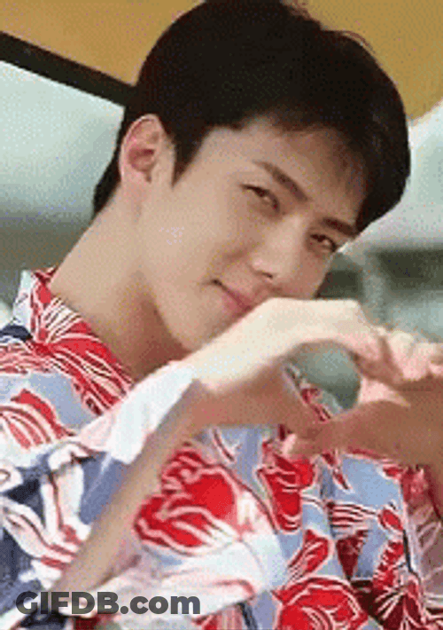 EXO Sehun Heart Hand Sign GIF
