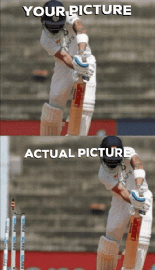 Expectation Vs Reality Photo In Crickets Meme Game GIF