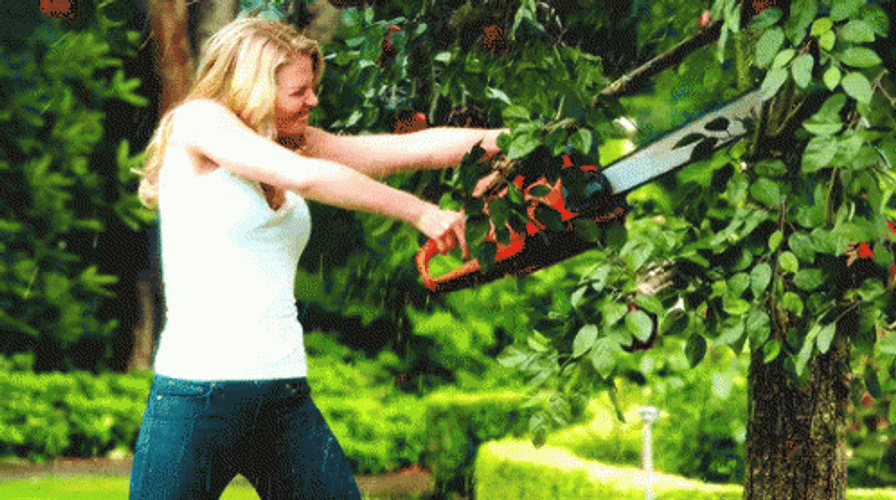 Expert Gardener Gardening GIF