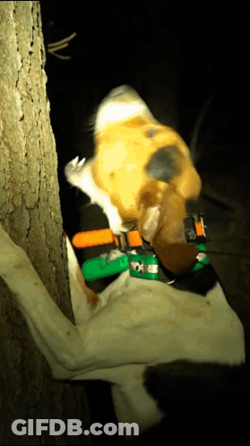 Expressing Love After Misunderstanding GIF
