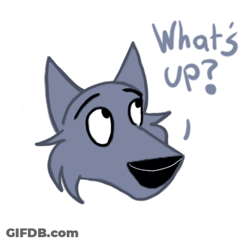 Expressions Dog Sticker Whats Up Doc GIF