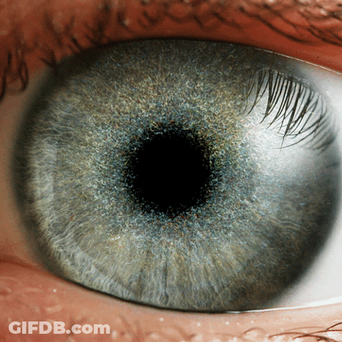 Eye Retina Optical Illusion GIF