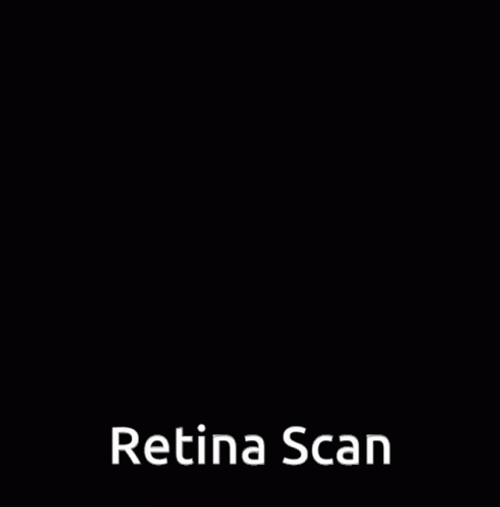 Eye Retina Scanners GIF