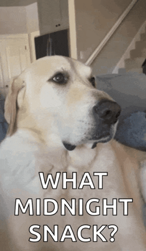 Eye Roll GIF