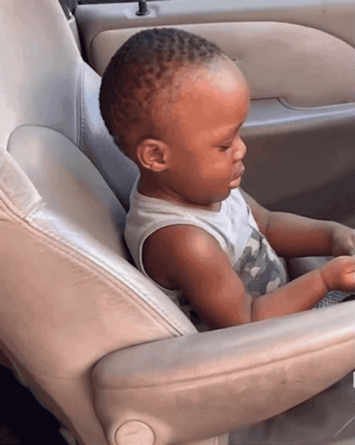 Eye Roll Meme Chillin In A Car Sit GIF