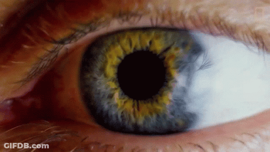 Eye To Extreme Close Eye Iris GIF