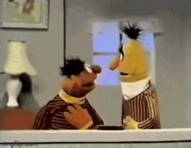 Eye To Eye Bert And Ernie Faint GIF
